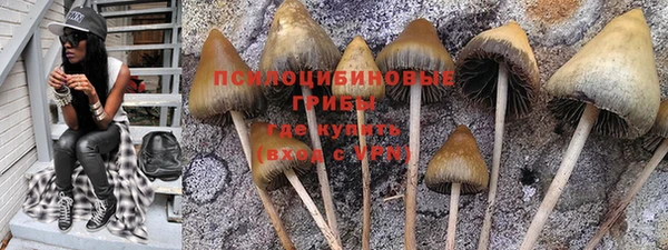 марки lsd Белоозёрский