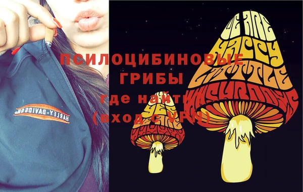 ПСИЛОЦИБИНОВЫЕ ГРИБЫ Беломорск