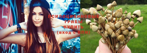 ПСИЛОЦИБИНОВЫЕ ГРИБЫ Беломорск