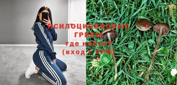 крисы Покров