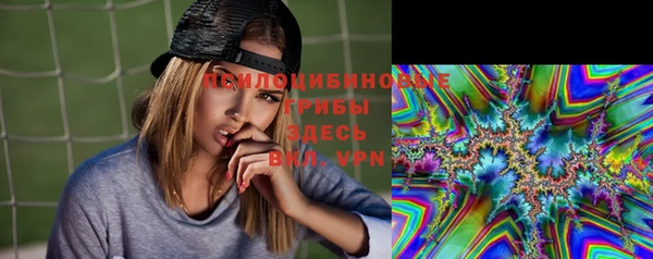 спайс Белокуриха