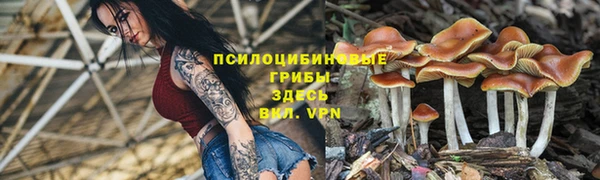 ПСИЛОЦИБИНОВЫЕ ГРИБЫ Беломорск