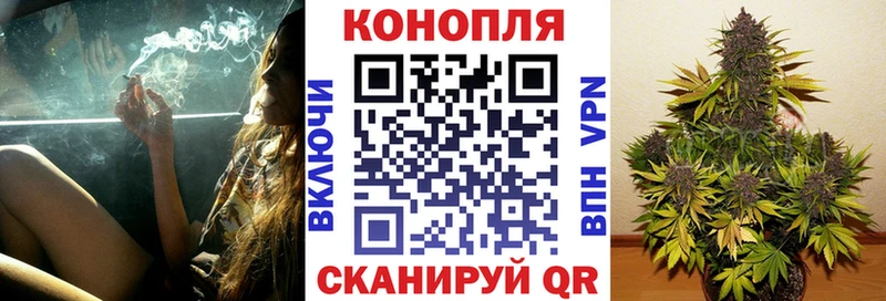Марихуана SATIVA & INDICA  Заводоуковск 
